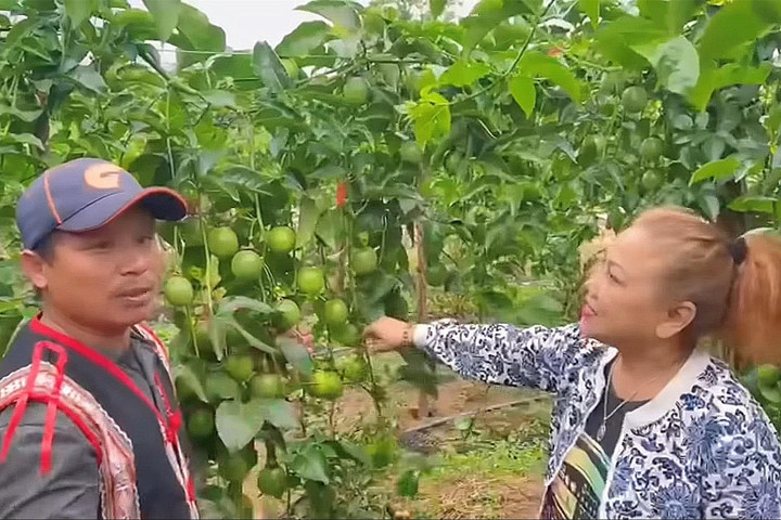 Cuộc sống làm rẫy, nuôi heo của ca sĩ Siu Black sau khi rời showbiz - 1