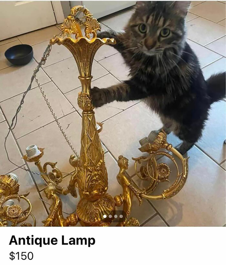 Những thứ kỳ quặc nhất từng được rao bán trên mạng, nhìn mức giá còn sốc hơn - 1