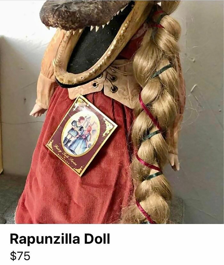 Những thứ kỳ quặc nhất từng được rao bán trên mạng, nhìn mức giá còn sốc hơn - 2