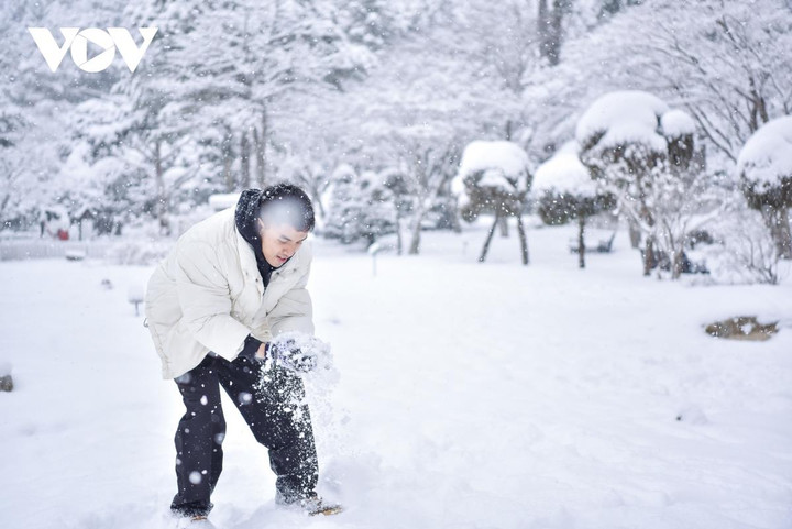 Cảnh diễm lệ của mùa đông Gangwon, Hàn Quốc khiến du khách đắm say - 3