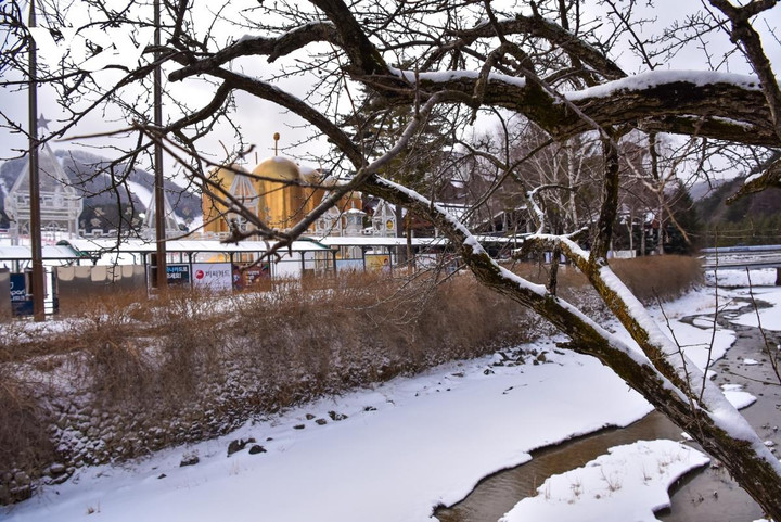 Cảnh diễm lệ của mùa đông Gangwon, Hàn Quốc khiến du khách đắm say - 1