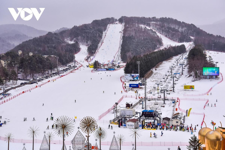 Cảnh diễm lệ của mùa đông Gangwon, Hàn Quốc khiến du khách đắm say - 6