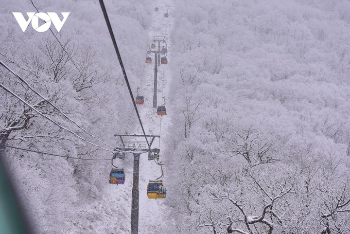 Cảnh diễm lệ của mùa đông Gangwon, Hàn Quốc khiến du khách đắm say - 8