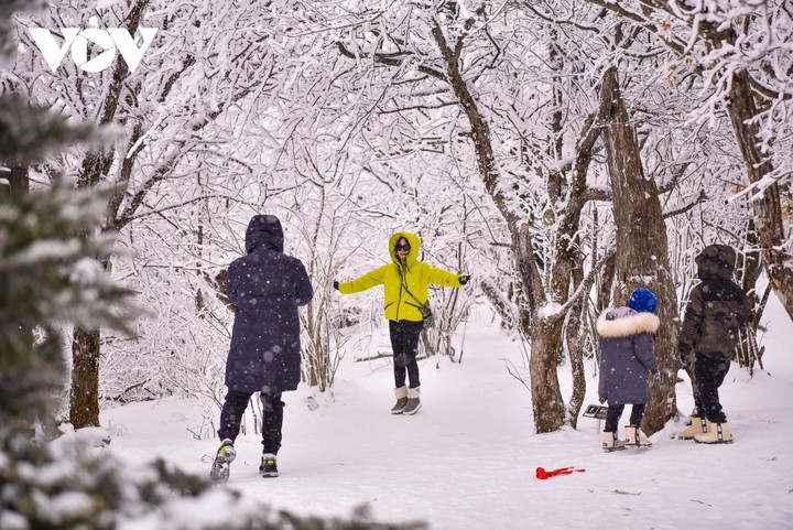 Cảnh diễm lệ của mùa đông Gangwon, Hàn Quốc khiến du khách đắm say - 12