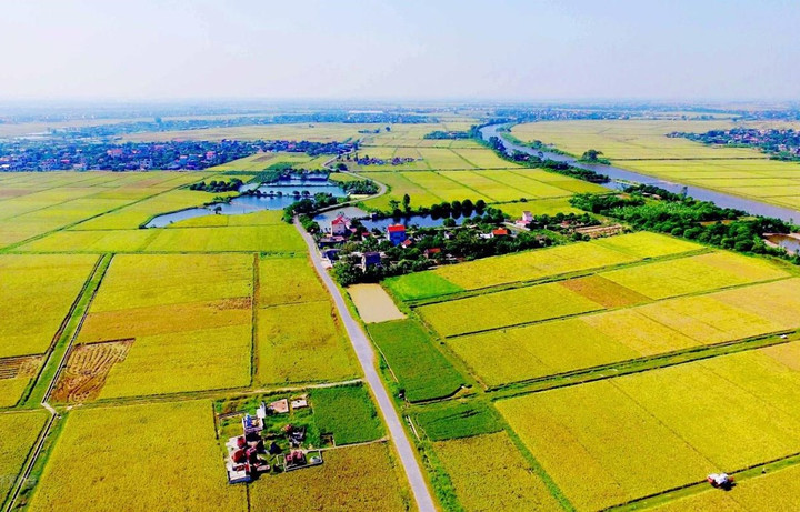 Luật Đất đai sửa đổi: Xóa cảnh bỏ hoang đất nông nghiệp, DN khan đất sản xuất - 1