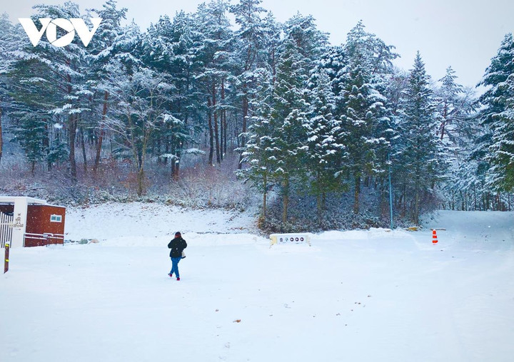 Cảnh diễm lệ của mùa đông Gangwon, Hàn Quốc khiến du khách đắm say - 5