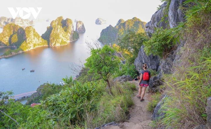 Vẻ tuyệt mỹ của núi Bài Thơ – danh thắng sắp mở cửa trở lại ở Hạ Long - 12