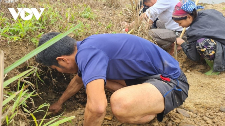 Nghe lời đồn, người dân tụ tập tìm đá quý ven sông Chảy - 12