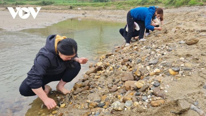 Nghe lời đồn, người dân tụ tập tìm đá quý ven sông Chảy - 5
