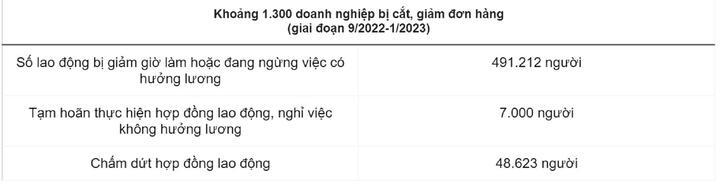 Gần 5.500 lao động bị nợ lương hơn 56 tỷ đồng - 2