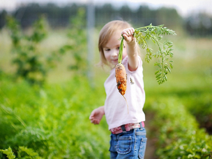 3 dấu hiệu trẻ thông minh: Con bạn sở hữu dấu hiệu nào? - 1