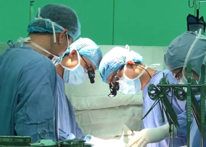 Ca bệnh thứ 2 ở Việt Nam ghi nhận có sán chó trong tim - 1