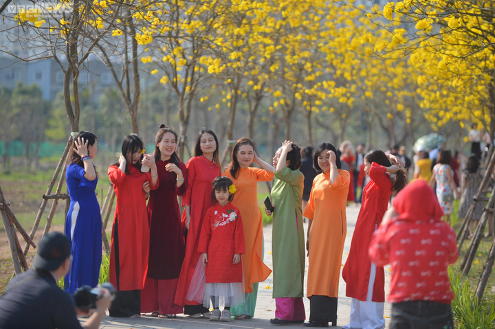 Hà Nội mùa hoa sưa, hoa ban, hoa phong linh: Thợ ảnh kiếm trăm triệu/tháng - 5