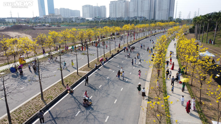 Hà Nội mùa hoa sưa, hoa ban, hoa phong linh: Thợ ảnh kiếm trăm triệu/tháng - 8