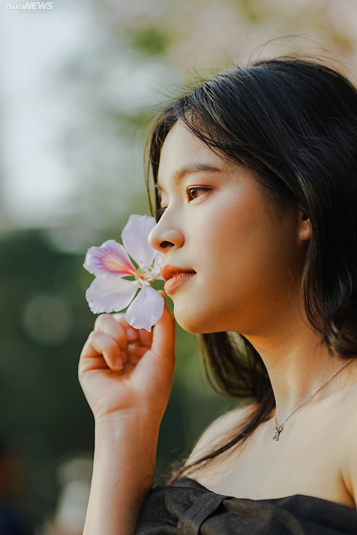 Hà Nội mùa hoa sưa, hoa ban, hoa phong linh: Thợ ảnh kiếm trăm triệu/tháng - 6