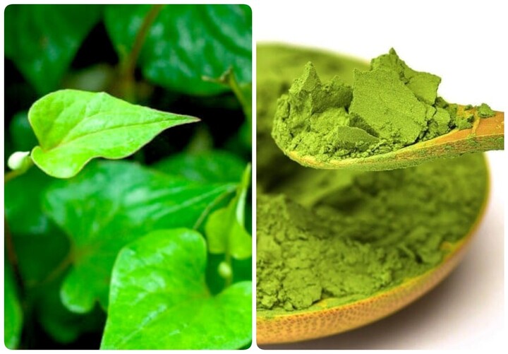 Có nên làm mặt nạ trị mụn bằng rau diếp cá? - 1