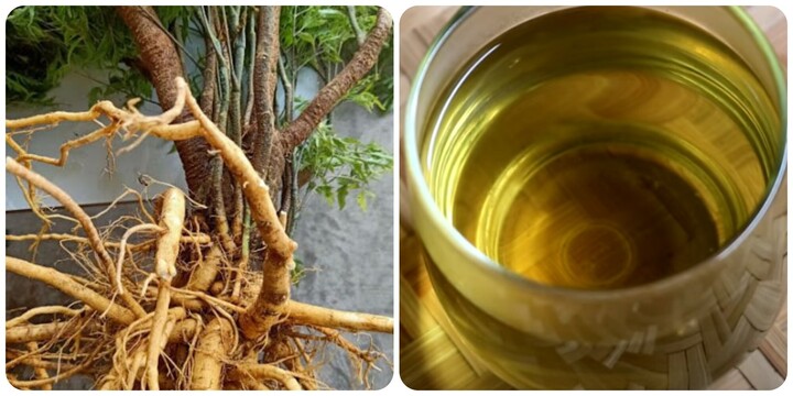 Thân cây đinh lăng nấu nước uống được không? - 1
