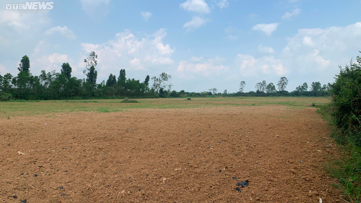 Lời khẩn cầu của thành cổ bị rác bủa vây ở Bình Định - 2