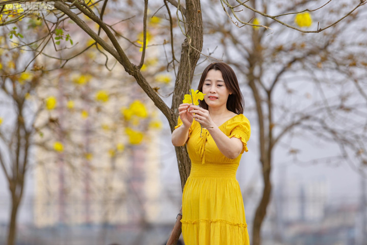 Dự báo thời tiết ngày 6/3: Hà Nội nắng ấm trước khi xuất hiện mưa phùn - 1