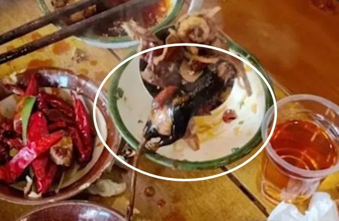 Ăn gần hết nồi lẩu phát hiện chuột chết bên trong, thực khách gọi cảnh sát - 1