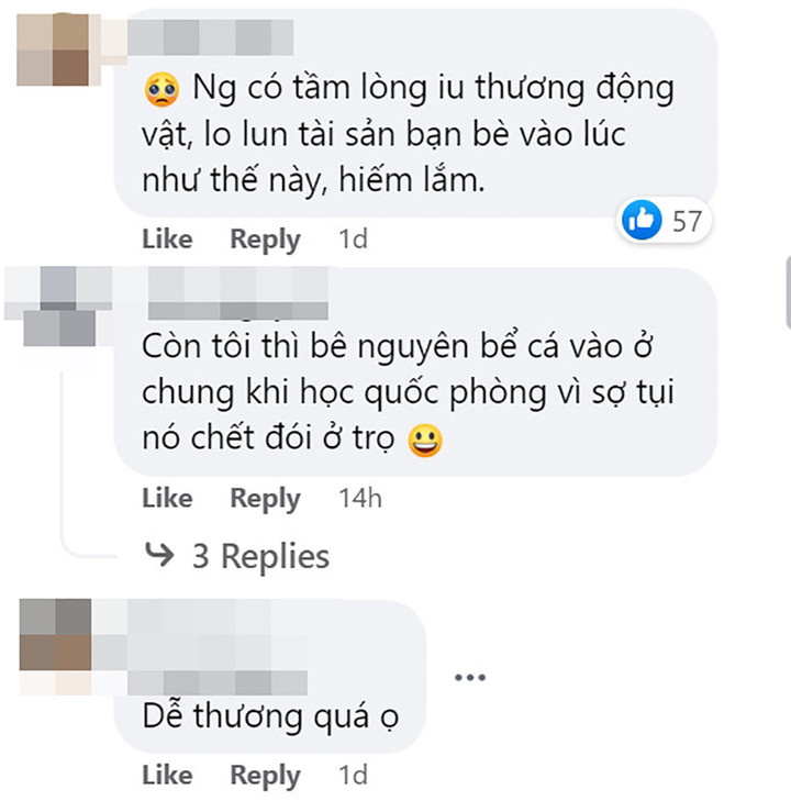 Sự thật bức ảnh tên trộm khệ nệ vác laptop, máy ảnh và 1 chú rùa khỏi ký túc xá - 2