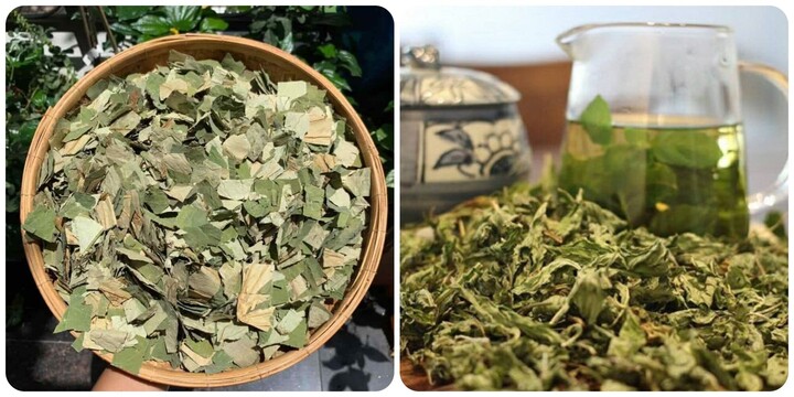 Những người không nên uống nước lá sen - 1
