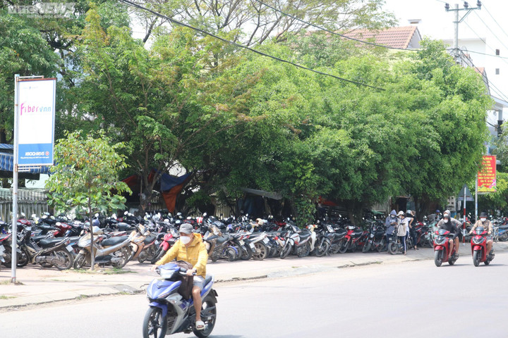 Học sinh Quy Nhơn vượt đèn đỏ, không mũ bảo hiểm 'như chưa có luật giao thông' - 4