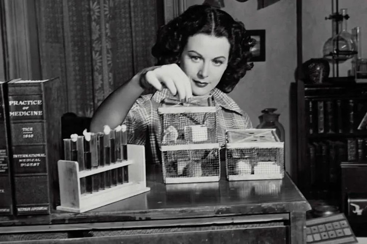 Những tính năng quan trọng trên xe hơi được phát minh bởi phụ nữ - 5