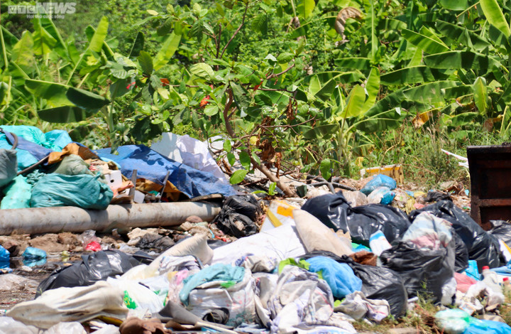Cần Thơ: Bãi tập kết rác giữa khu dân cư bốc mùi hôi thối, dân treo biển bán nhà - 6