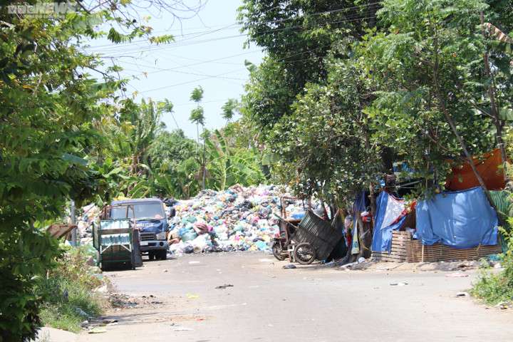 Cần Thơ: Bãi tập kết rác giữa khu dân cư bốc mùi hôi thối, dân treo biển bán nhà - 10