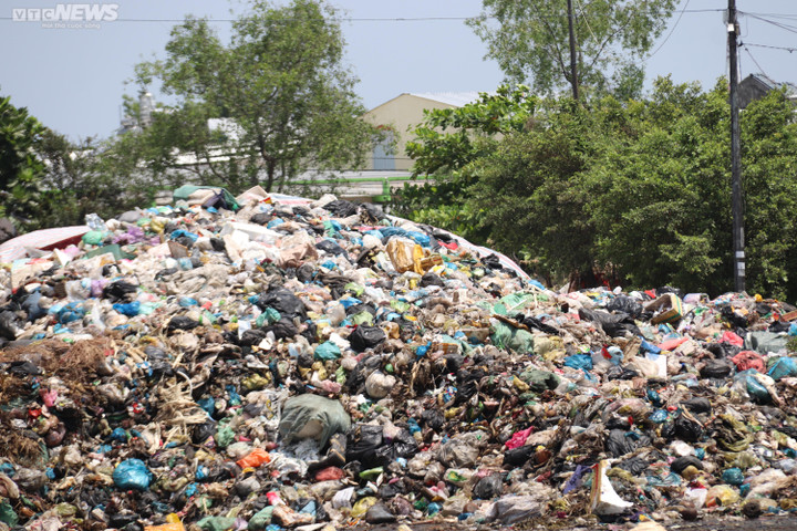 Cần Thơ: Bãi tập kết rác giữa khu dân cư bốc mùi hôi thối, dân treo biển bán nhà - 4