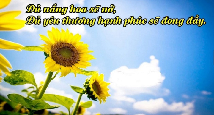 Những status hay về cuộc sống giúp bạn thay đổi cuộc đời - 2