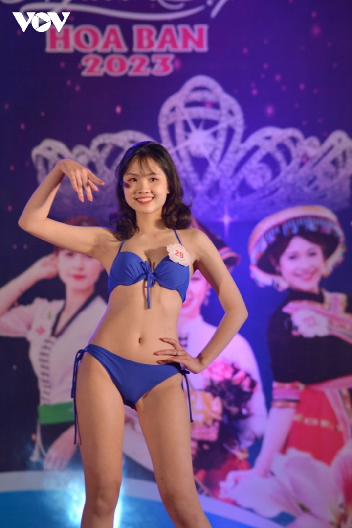 Các Thí Sinh Người đẹp Hoa Ban 2023 Gợi Cảm Trong Trang Phục Bikini Hota News