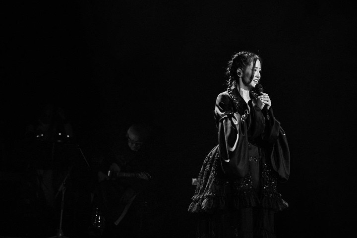 Diva Hồng Nhung nhiều lần nghẹn ngào trên sân khấu vì lý do đặc biệt - 2