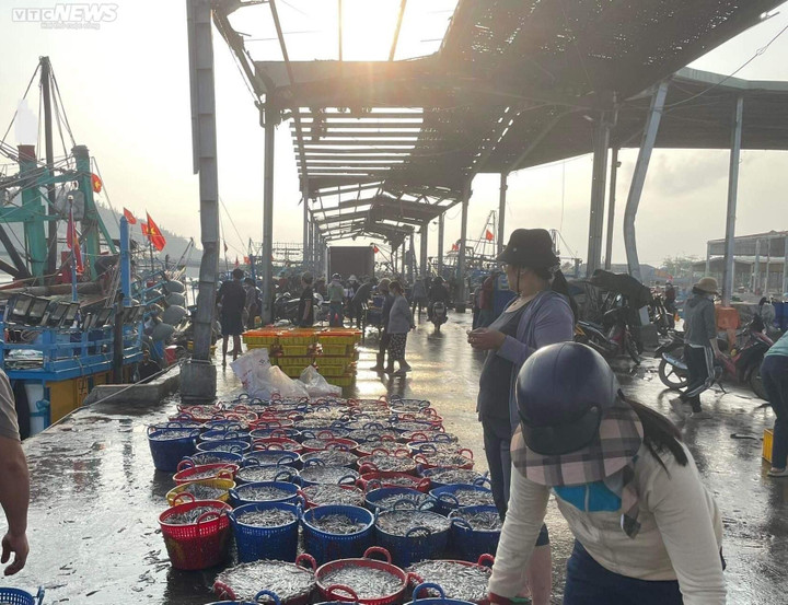 Tử thần 'rình rập' trên đầu ngư dân tại Cảng cá Đề Gi, Bình Định - 1
