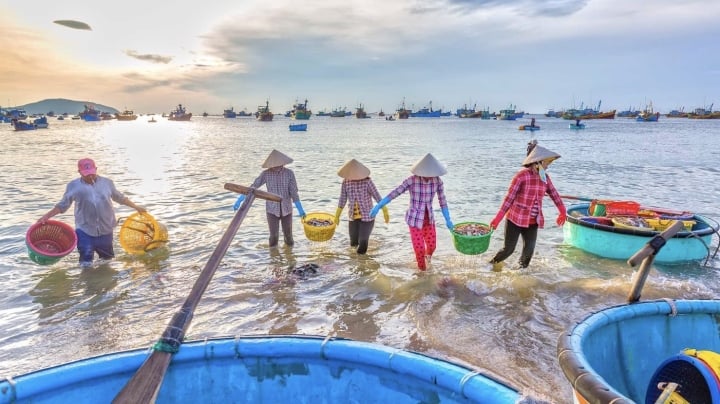 8 bãi tắm biển đẹp tuyệt vời nhất nước Việt Nam nên lên đường nhập hè này - 4