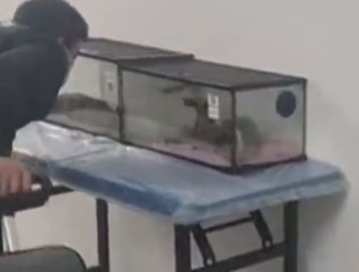 Mua vé vào thủy cung cho con chơi, nhìn thấy hiện trường người mẹ phẫn nộ tố cáo - 1