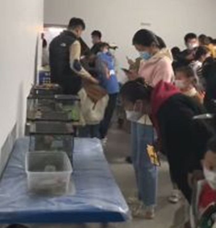 Mua vé vào thủy cung cho con chơi, nhìn thấy hiện trường người mẹ phẫn nộ tố cáo - 2