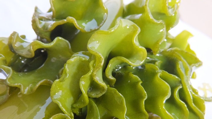 Giải mã bí mật về Fucoidan Okinawa - 1