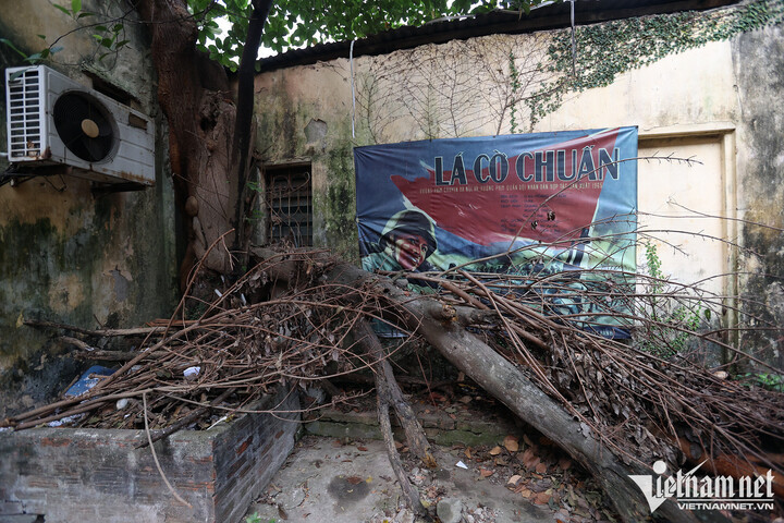 Cảnh hoang lạnh của Hãng phim truyện Việt Nam trên đất vàng giữa thủ đô - 13