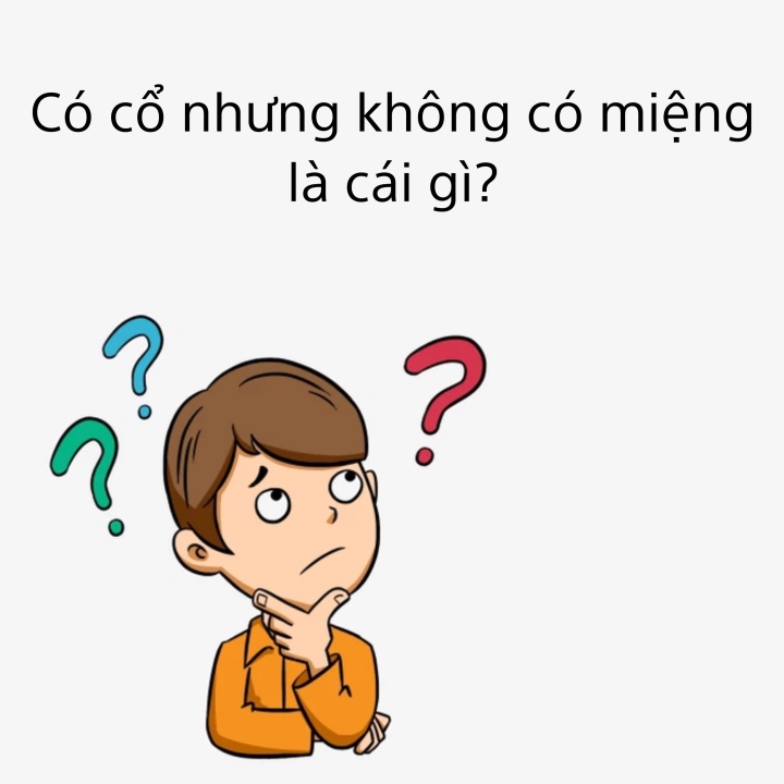 Câu đố tiếng Việt: Có cổ nhưng không có miệng là cái gì? - 1