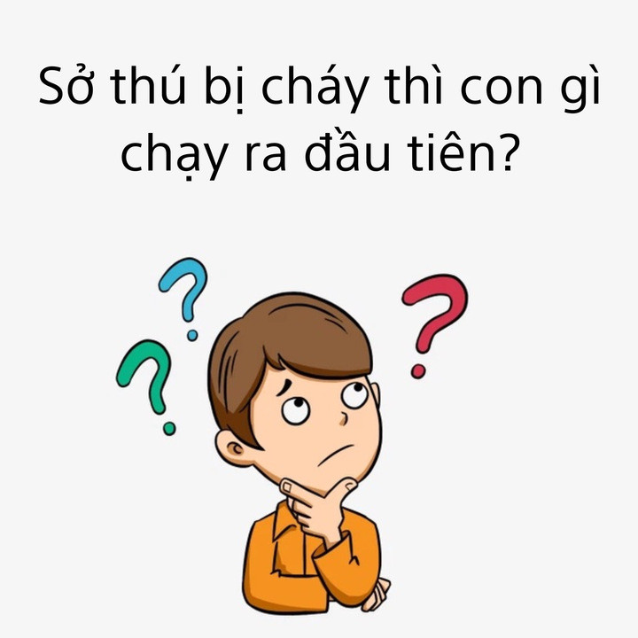 Thử trí thông minh: Sở thú bị cháy, con gì chạy ra đầu tiên? - 1