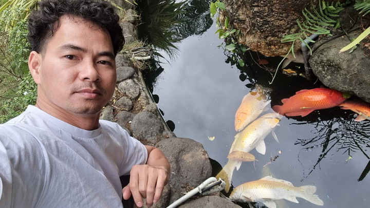 Sao Việt 20/3: Vợ chồng Hà Tăng trốn con hẹn hò, Xuân Bắc đau lòng với bể cá Koi - 2