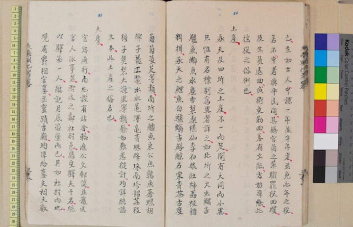 Viện Nghiên cứu Hán Nôm mất hơn 100 sách quý - 1