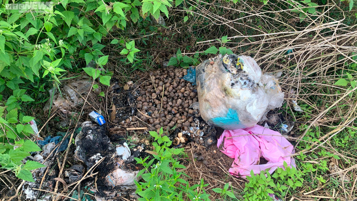 Tháp Chăm cổ ở Bình Định bị phá tường rào, thành nơi 'con nghiện' hút chích - 8