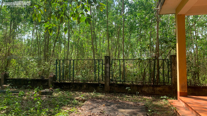 Tháp Chăm cổ ở Bình Định bị phá tường rào, thành nơi 'con nghiện' hút chích - 7