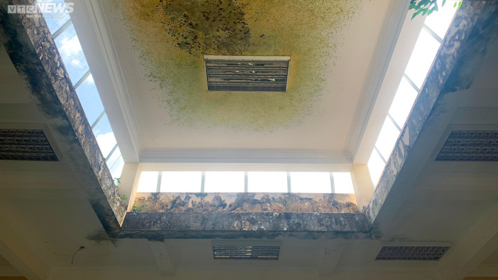 Tháp Chăm cổ ở Bình Định bị phá tường rào, thành nơi 'con nghiện' hút chích - 6