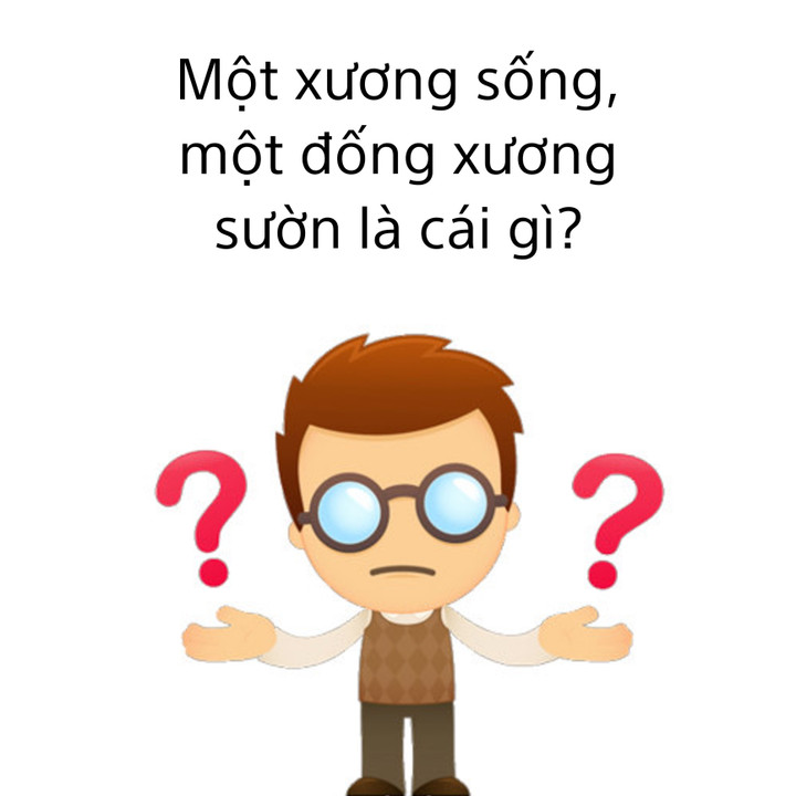 Câu đố hack não: Một xương sống, một đống xương sườn là cái gì? - 1