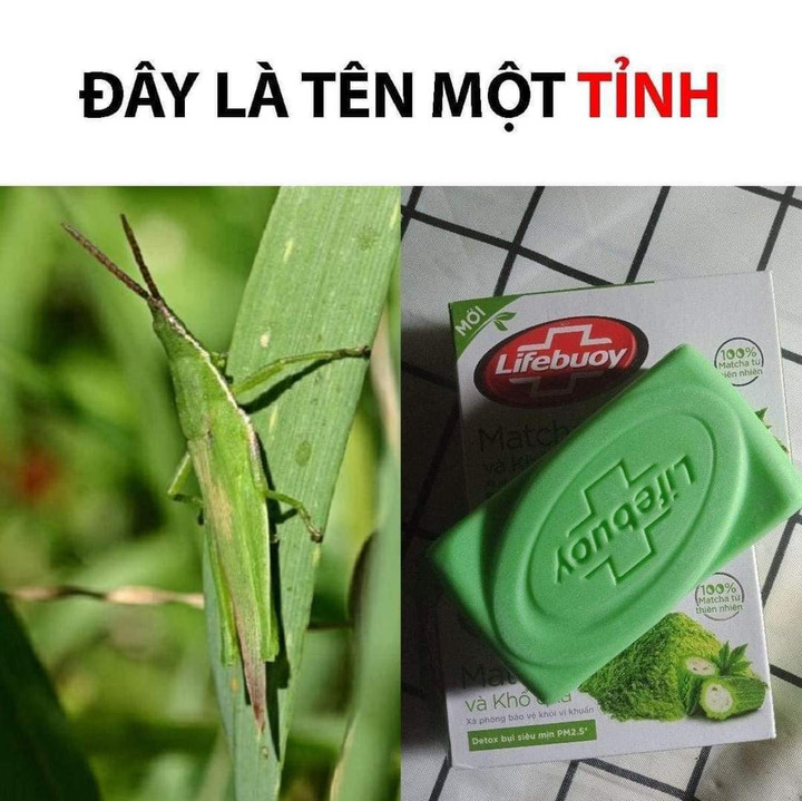 Đuổi hình bắt chữ: Đây là tên của tỉnh nào? - 1