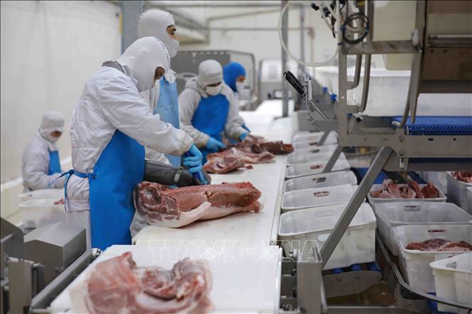 CPI quý I ước tăng 4,2 - 4,3% so với cùng kỳ năm ngoái - 1